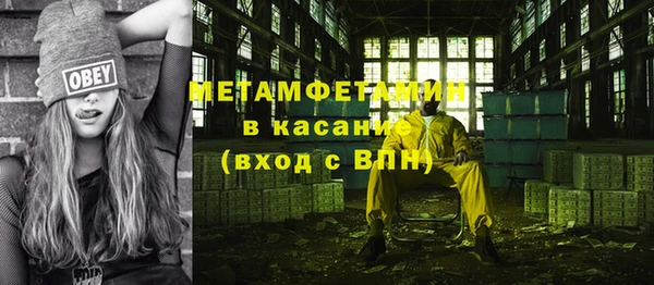 прущие грибы Беломорск