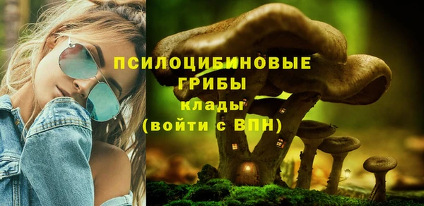 молекула духа Белокуриха