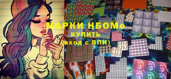 прущие грибы Беломорск