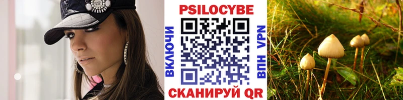 Псилоцибиновые грибы Psilocybine cubensis  Горнозаводск 